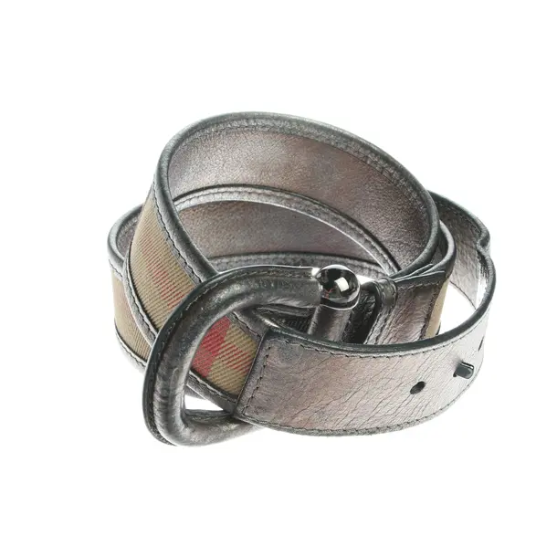 Belt in Multicolored, Leather, Burberry