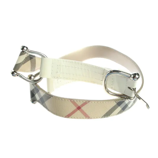 Belt in Multicolored, Leather, Burberry