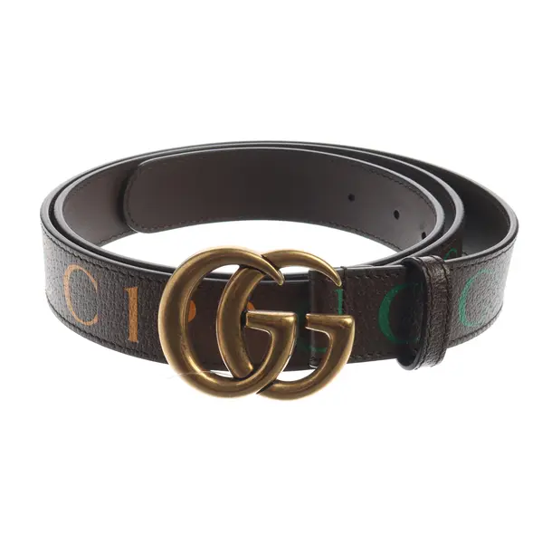 Cinture, in Multicolore, Pelle, Gucci