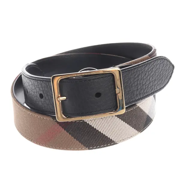 Gürtel, in Mehrfarbig, Leder, Burberry