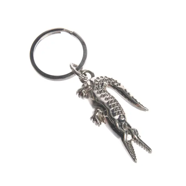 Keyring in Metallic, Metal (metallic, metallised), Lacoste