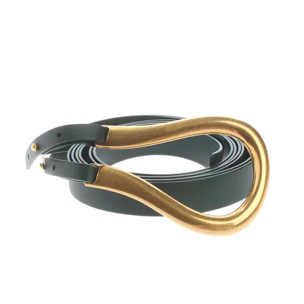 Belt, in Green, Leather, Bottega Veneta