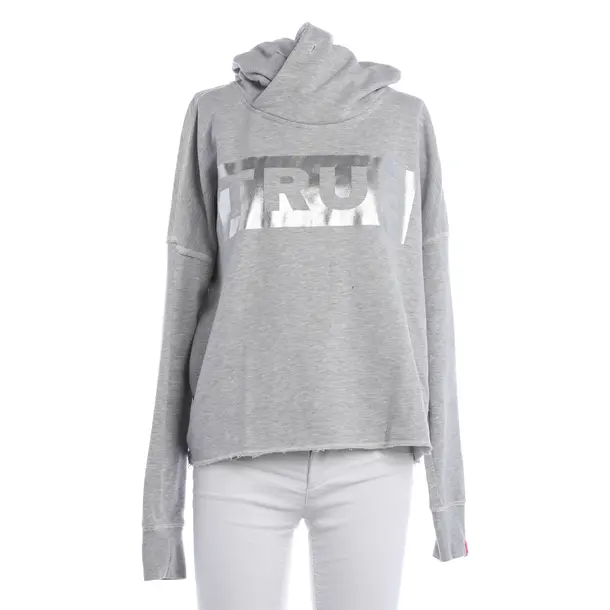 Hoodie, in Light Gray, Cotton, True Religion