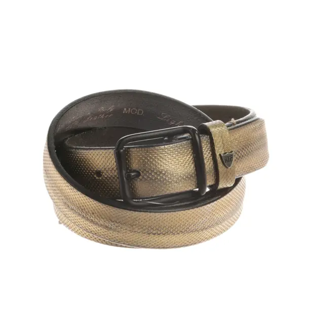 Belt, in Gold, Leather, HTC
