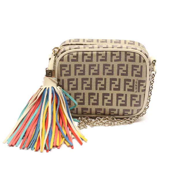 Evening Bag in Brown, Leather, Fendi