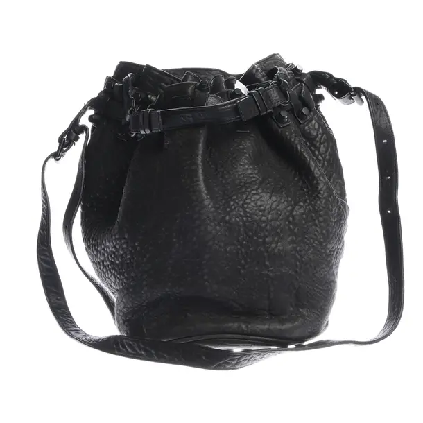 Bucket Bag in Black, Leather, Alexander Wang
