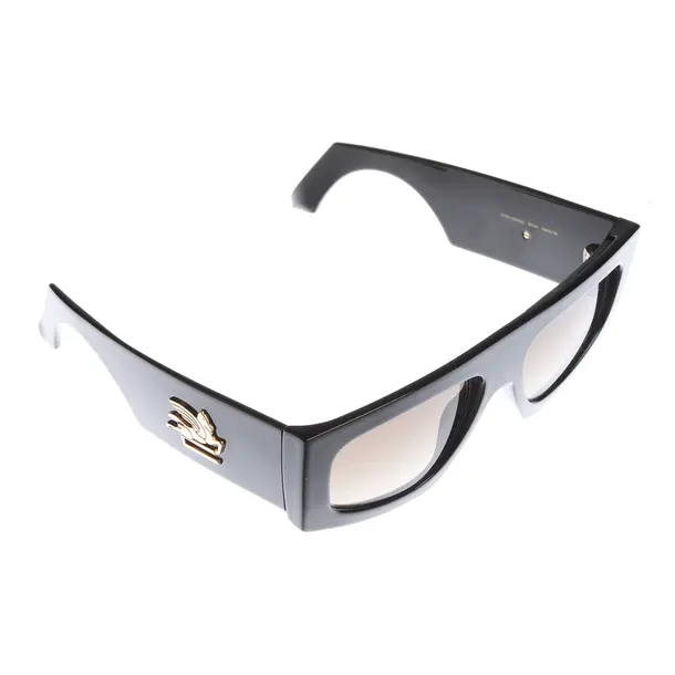 Sunglasses in Black, Synthetic, Etro