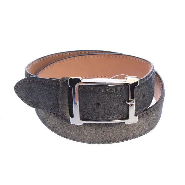 Gürtel in Metallic, Leder, Reptile´s House