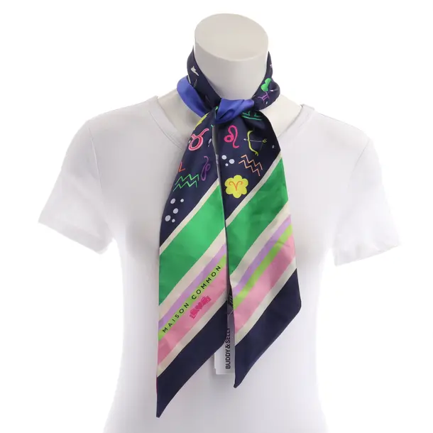 Shawl, in Multicolored, Silk, Maison Common