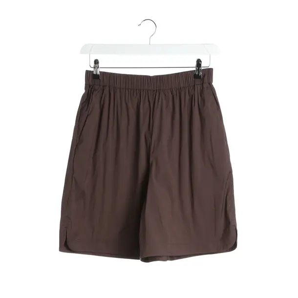 Shorts in Brown, Cotton, Max Mara