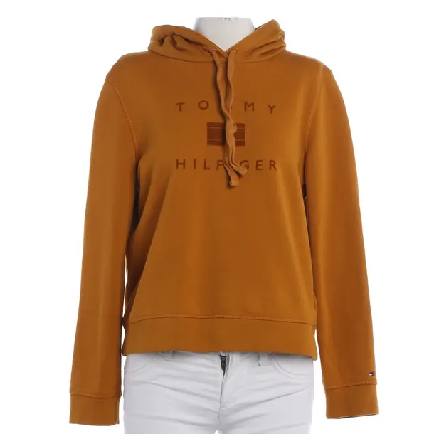 Hoodie, in Brown, Cotton, Tommy Hilfiger