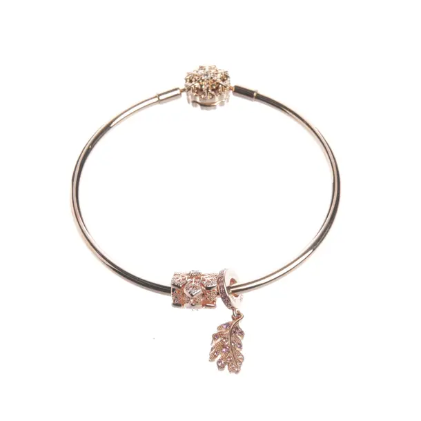 Bracelet in Metallic, Metal (metallic, metallized), Pandora