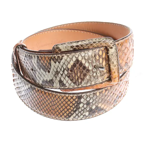Belt in Brown, Leather, Reptile´s House
